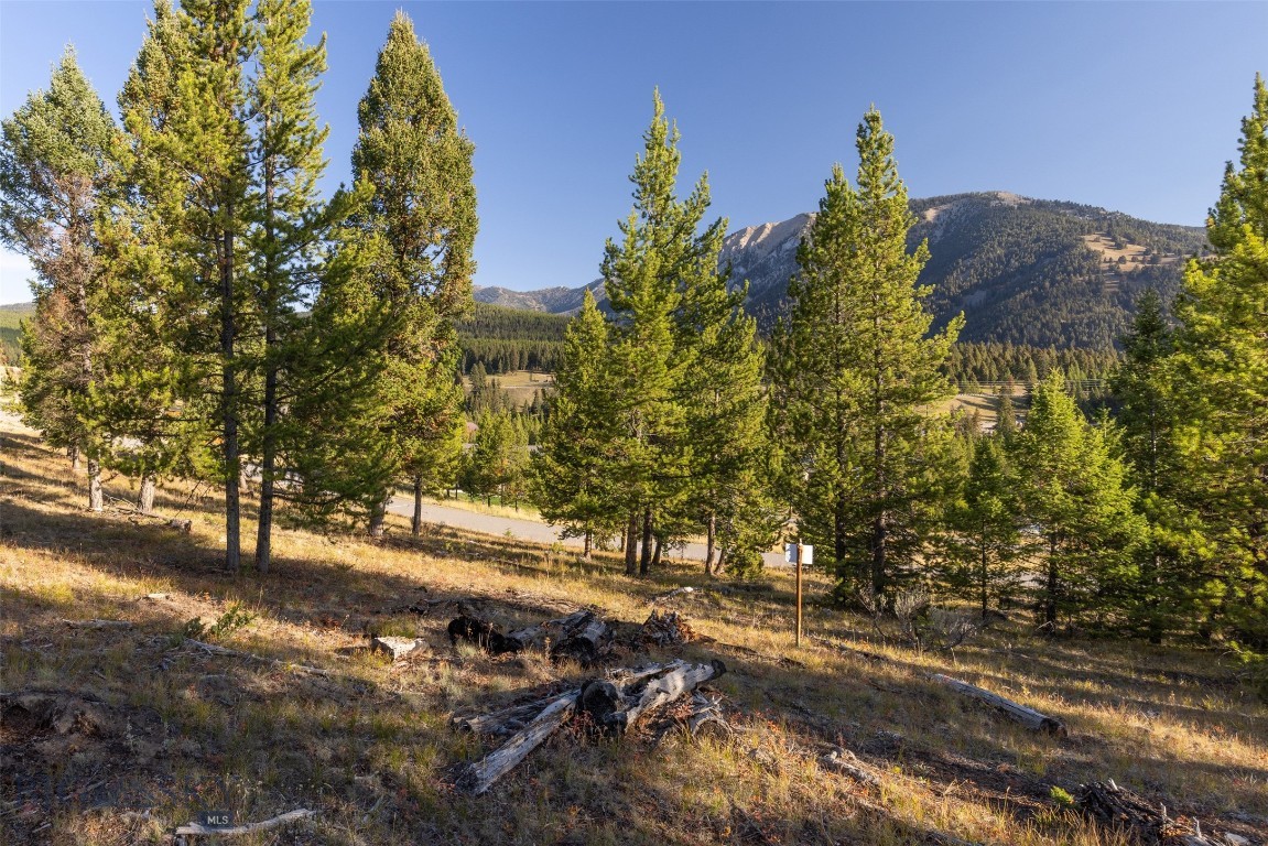 Antler Ridge - Land