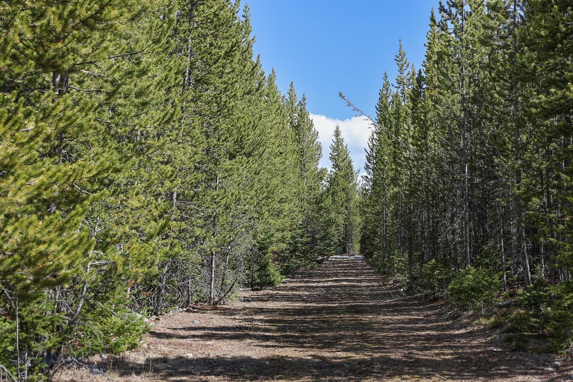 Beaver Creek West - Land