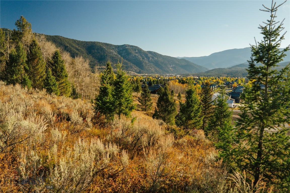 Upper Whitefish - Land