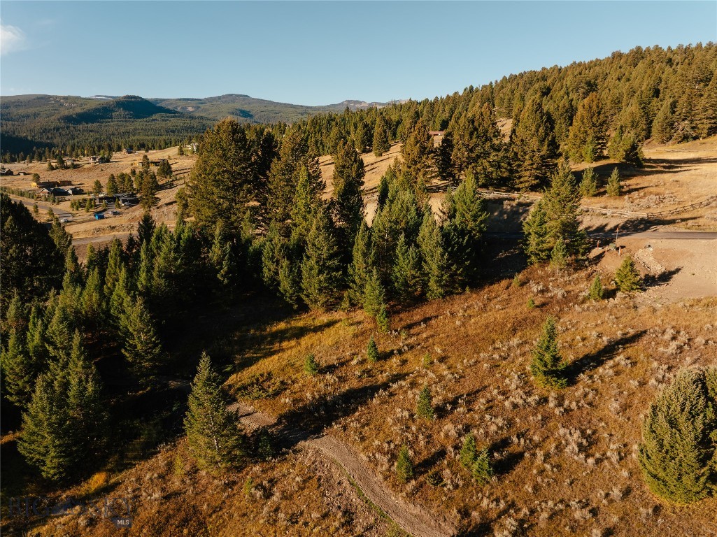 Upper Whitefish - Land