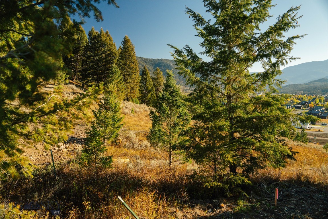 Upper Whitefish - Land