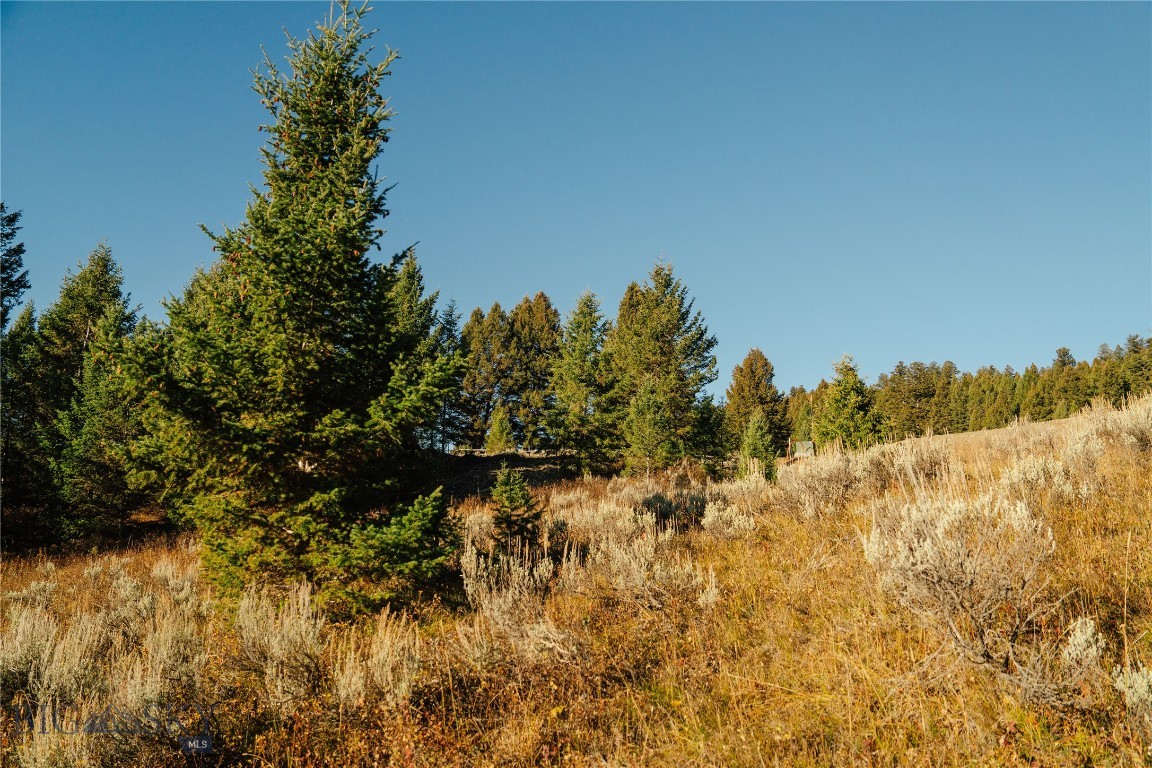 Upper Whitefish - Land