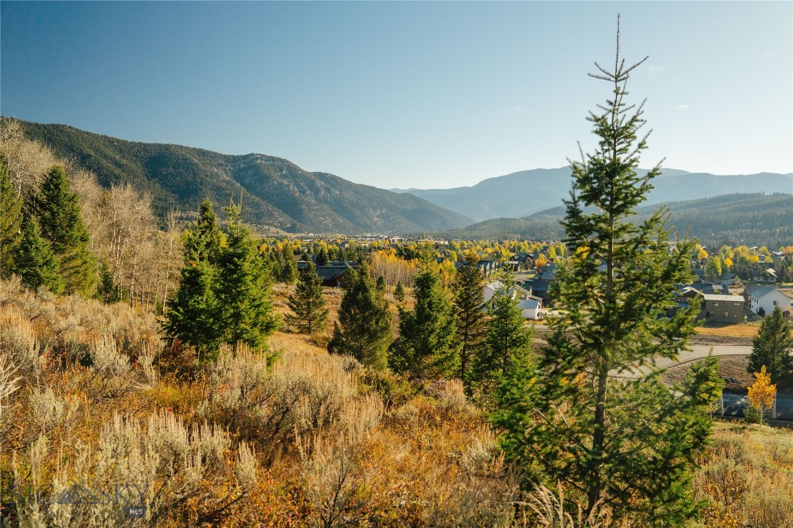 Upper Whitefish - Land