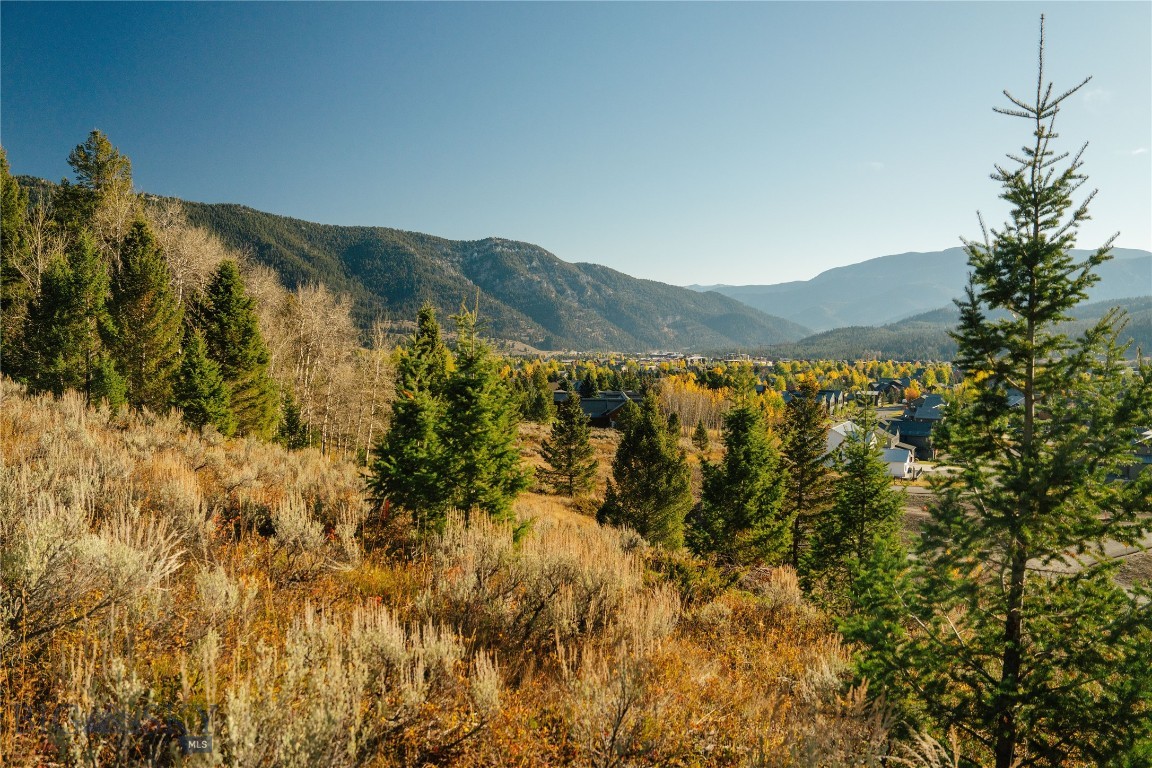 Upper Whitefish - Land