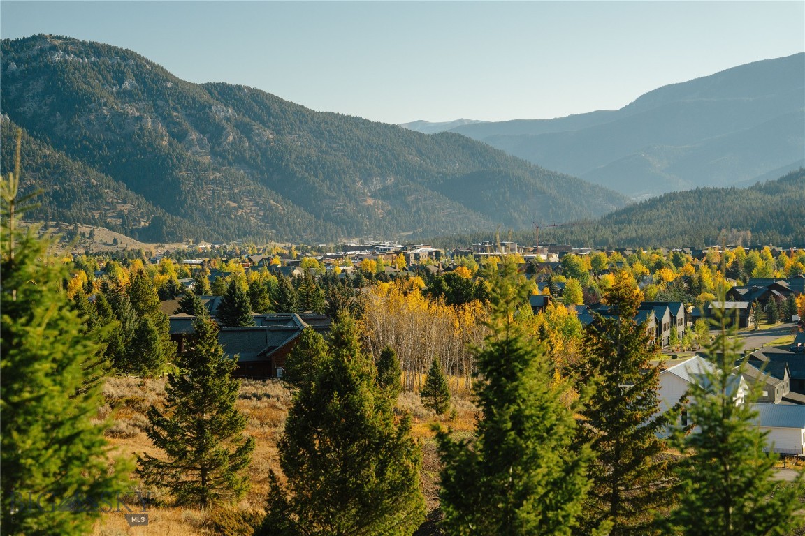Upper Whitefish - Land