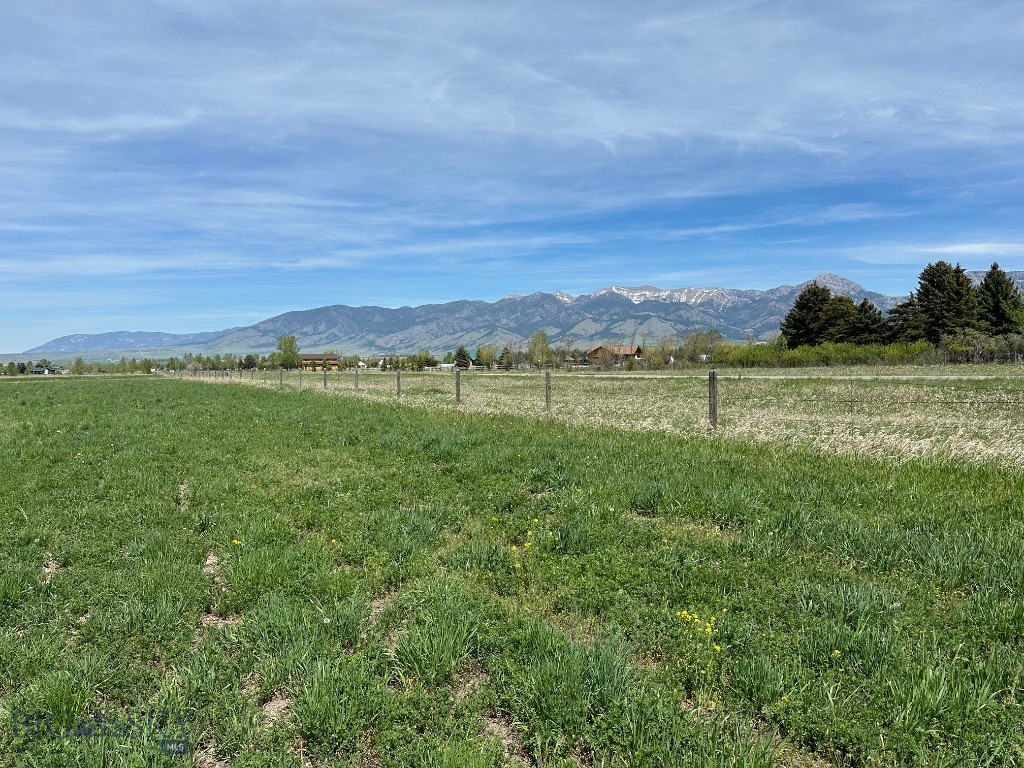 Ross Creek - Land
