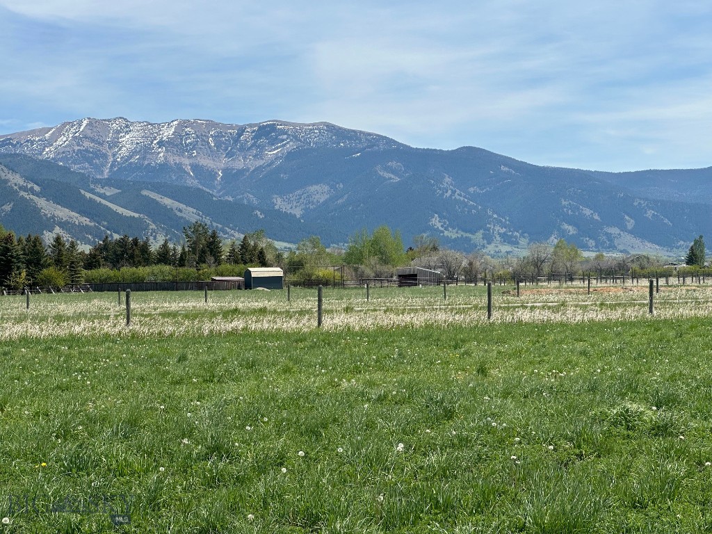 Ross Creek - Land