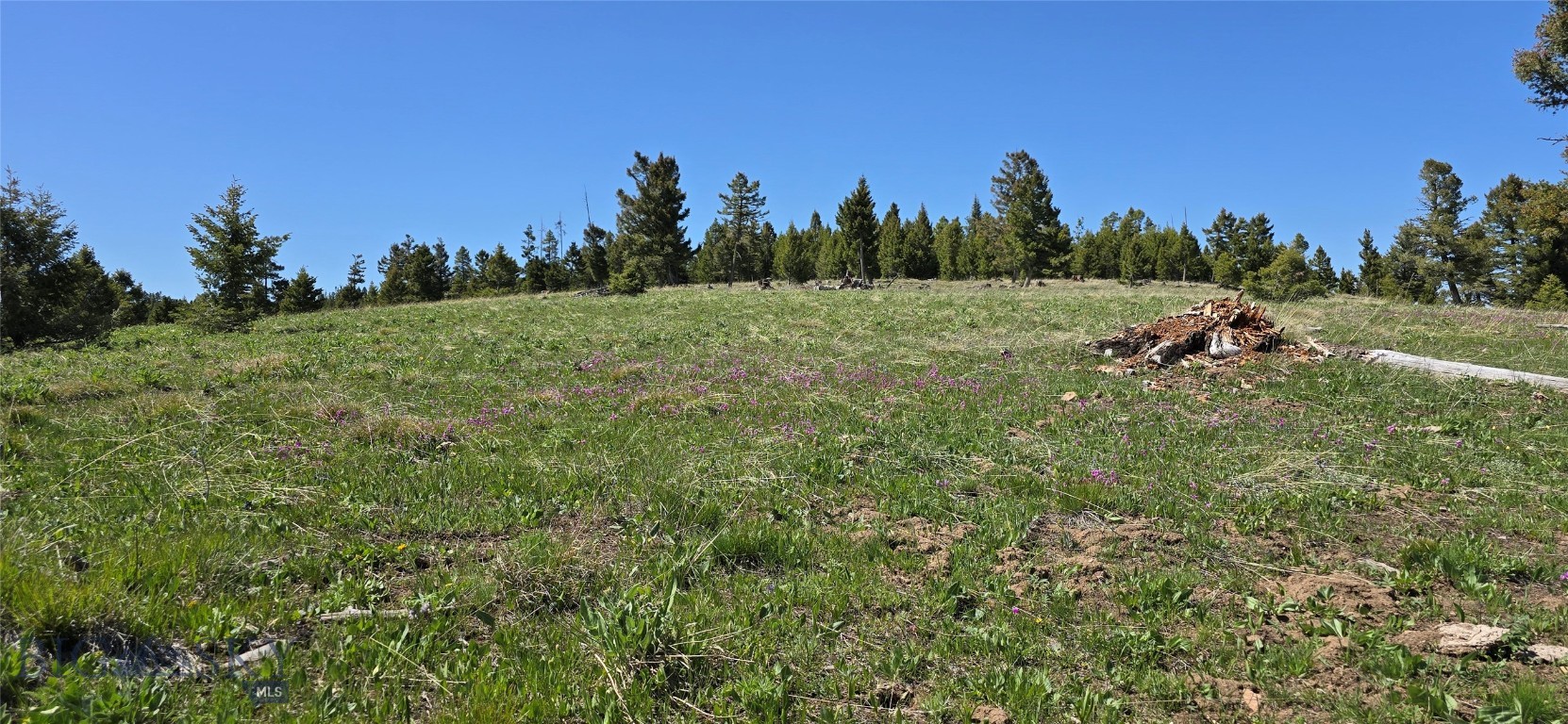160 +/- acres of off-grid Montana land for sale in the Garnet Range near Drummond, MT, offering seasonal springs, rolling hills, mountain setting, and multiple building sites. This Western Montana recreational land has abundant wildlife and is ideal for buyers looking to purchase land in Granite County for hunting, recreation, a seasonal homestead, or a private getaway. With road access, private road frontage, and western Montana acreage suited for a seasonal cabin or off-grid retreat, it offers space, seclusion, and big-sky views.
