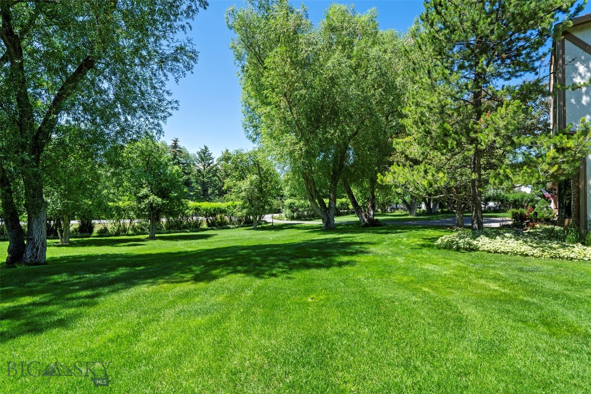Sour Dough Creek Properties - Residential