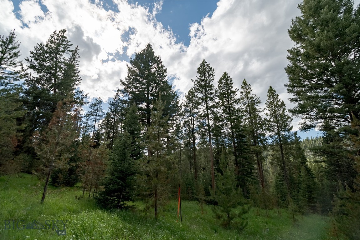 Blackfoot Hills - Land