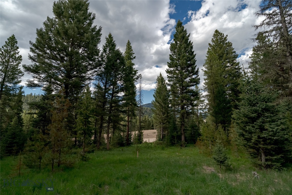 Blackfoot Hills - Land