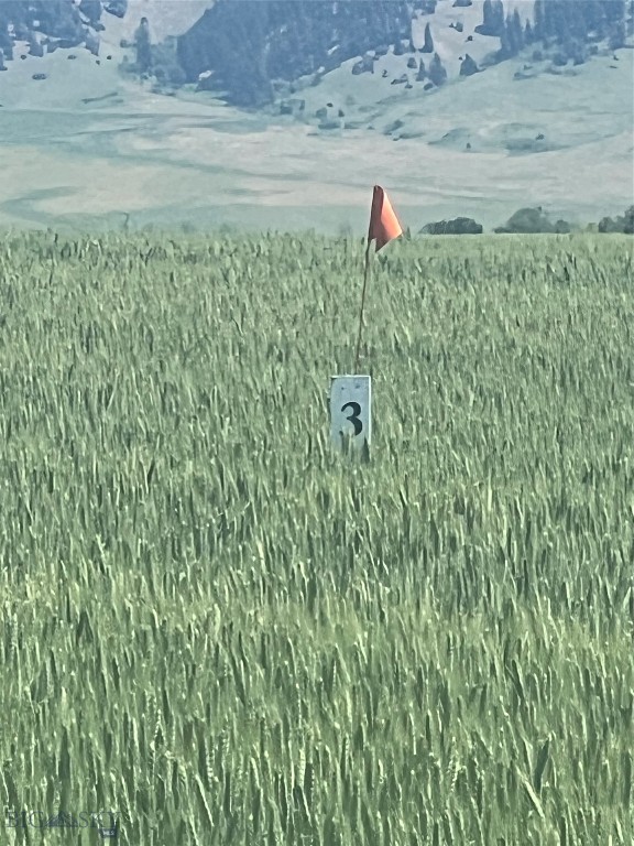 Minor Subdivision - Land