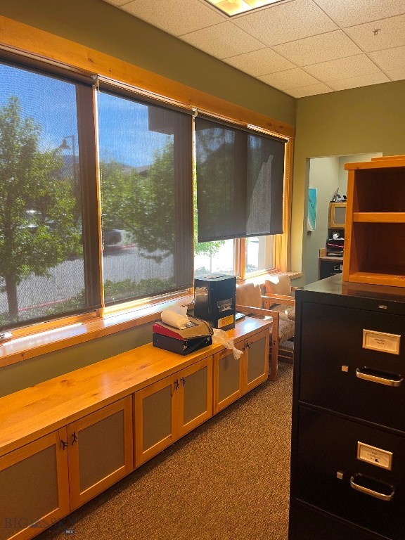 Meadow Village - Commercial Sale