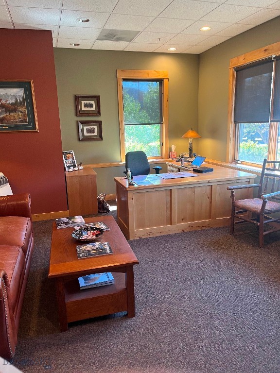 Meadow Village - Commercial Sale