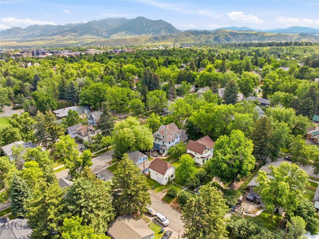 Capitol Hill Addition - Residential