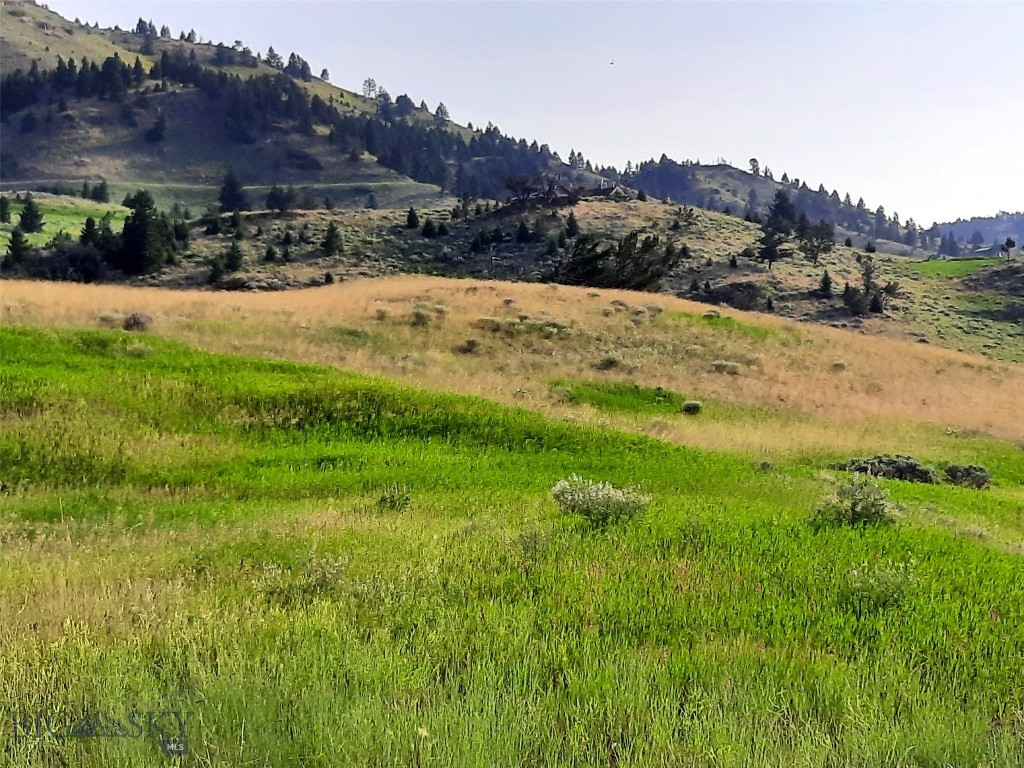 Stafford - Land
