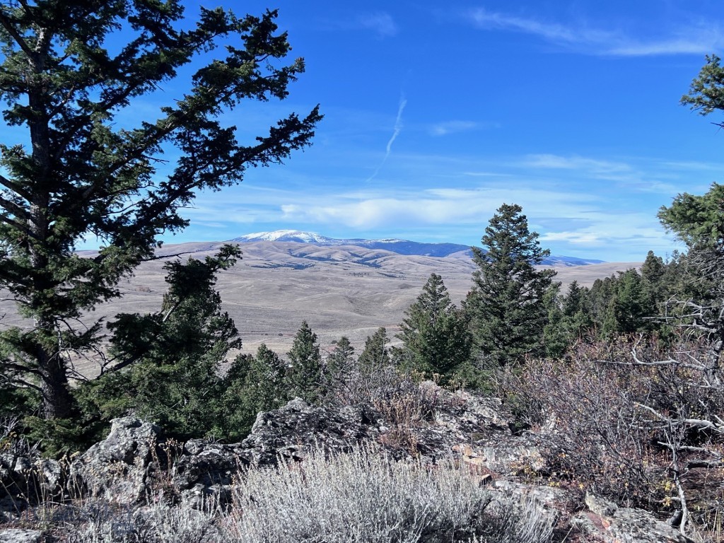 Yellowstone Basin Properties - Land