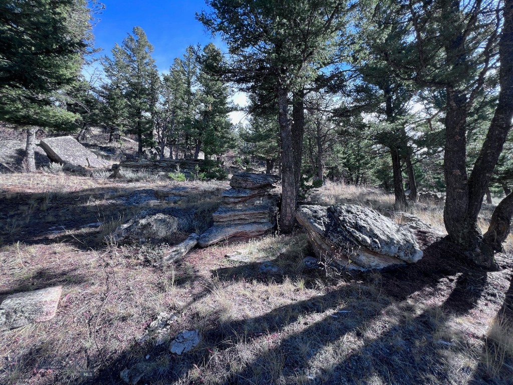 Yellowstone Basin Properties - Land