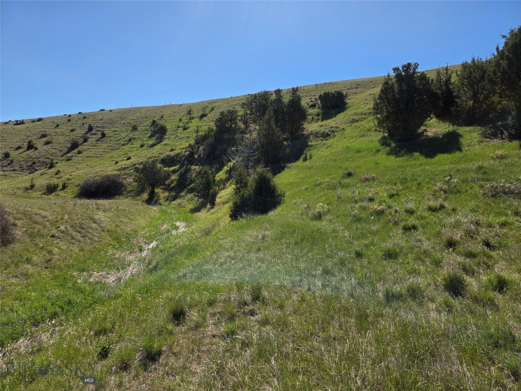 Pronghorn Meadows - Land