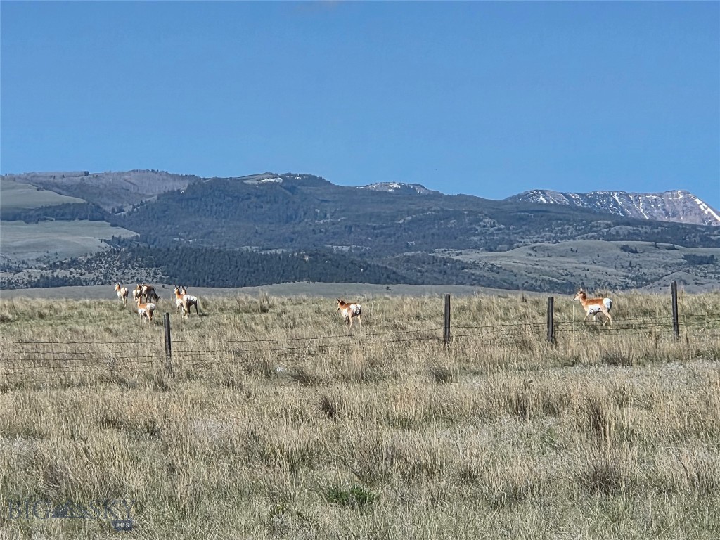 Pronghorn Meadows - Land
