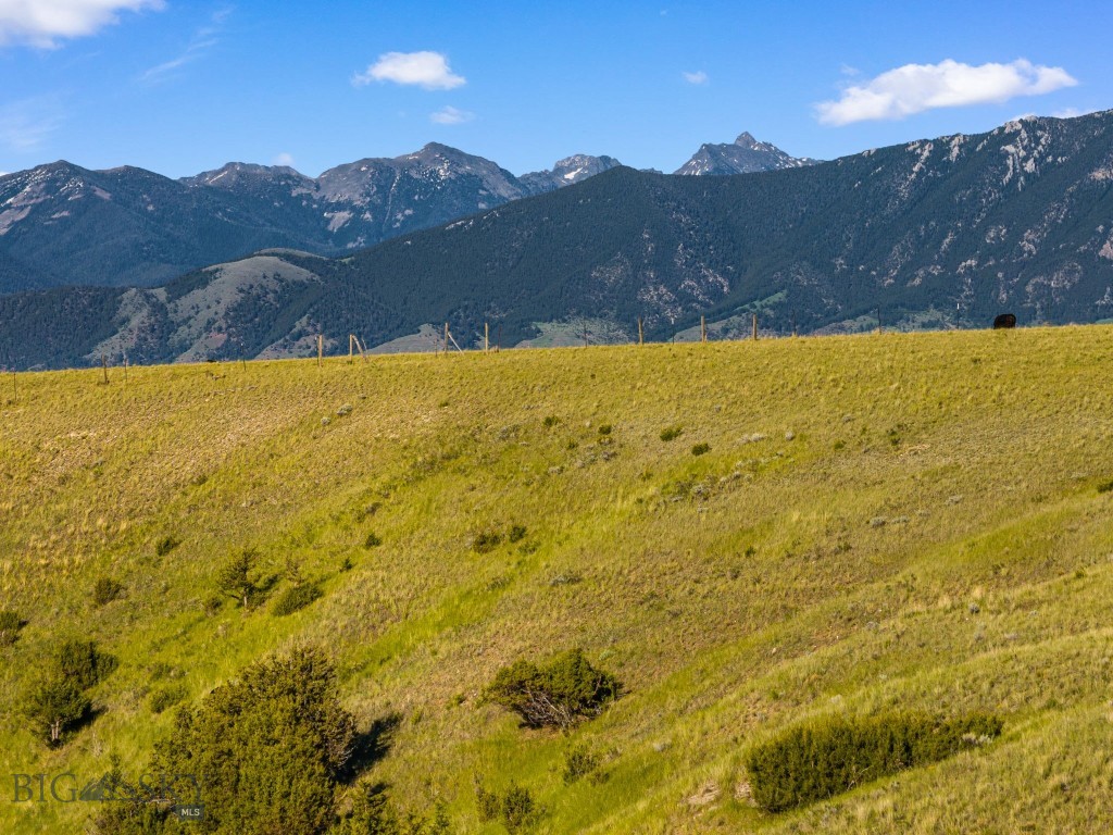 Pronghorn Meadows - Land