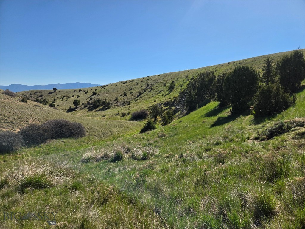 Pronghorn Meadows - Land