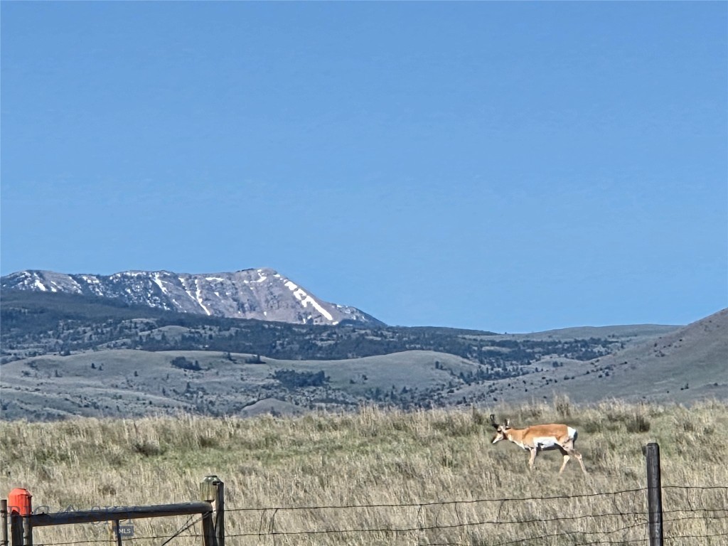 Pronghorn Meadows - Land