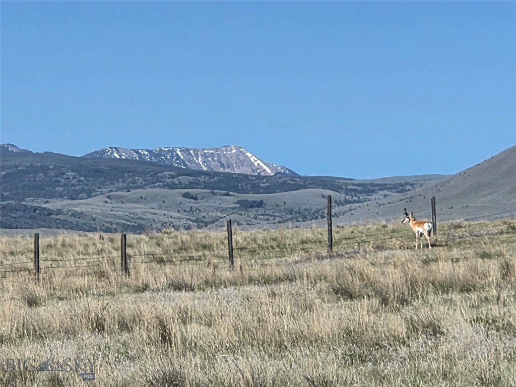Pronghorn Meadows - Land