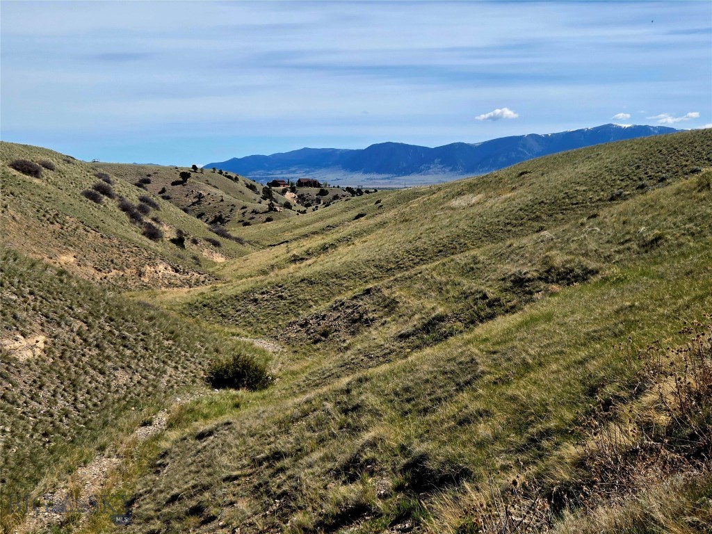 Pronghorn Meadows - Land