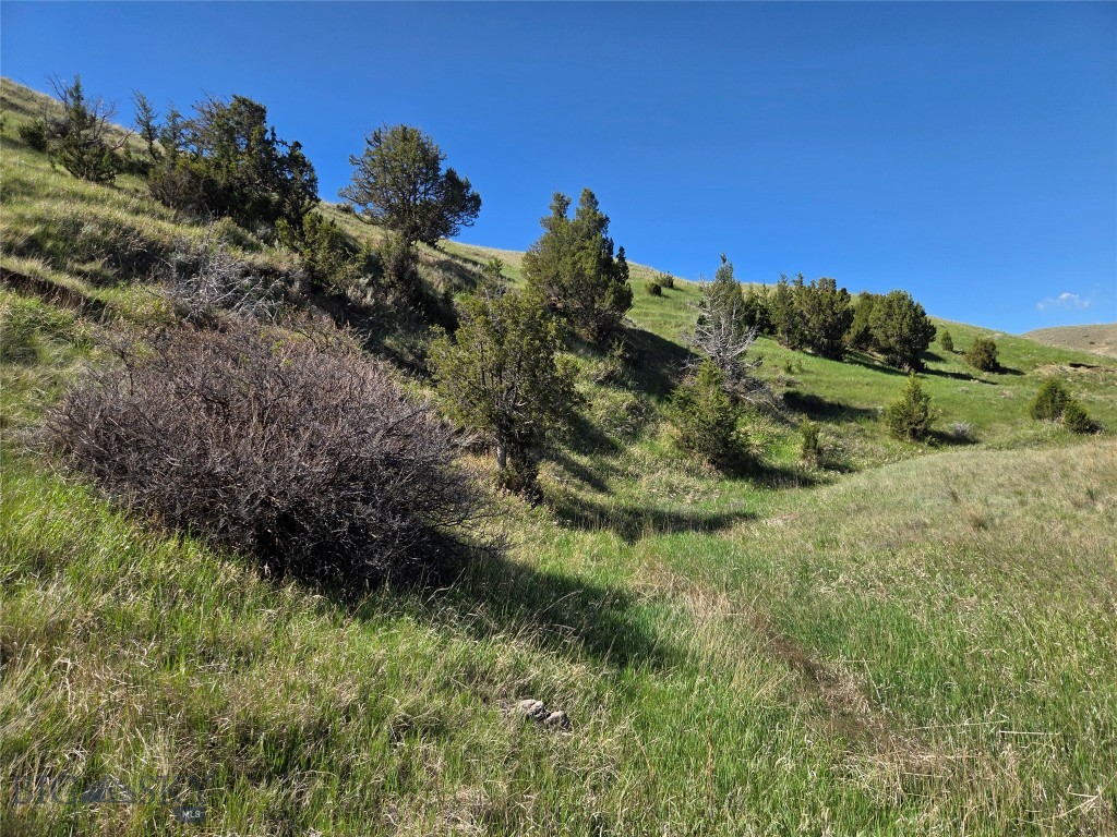 Pronghorn Meadows - Land
