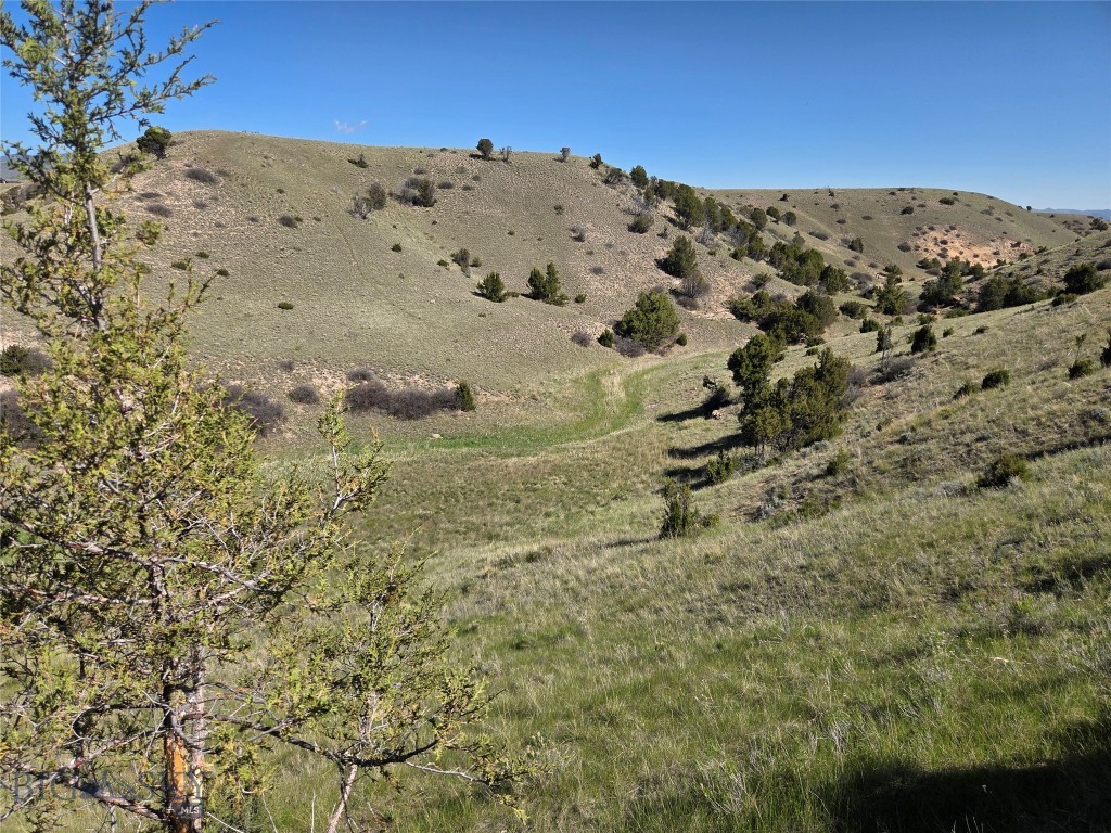 Pronghorn Meadows - Land