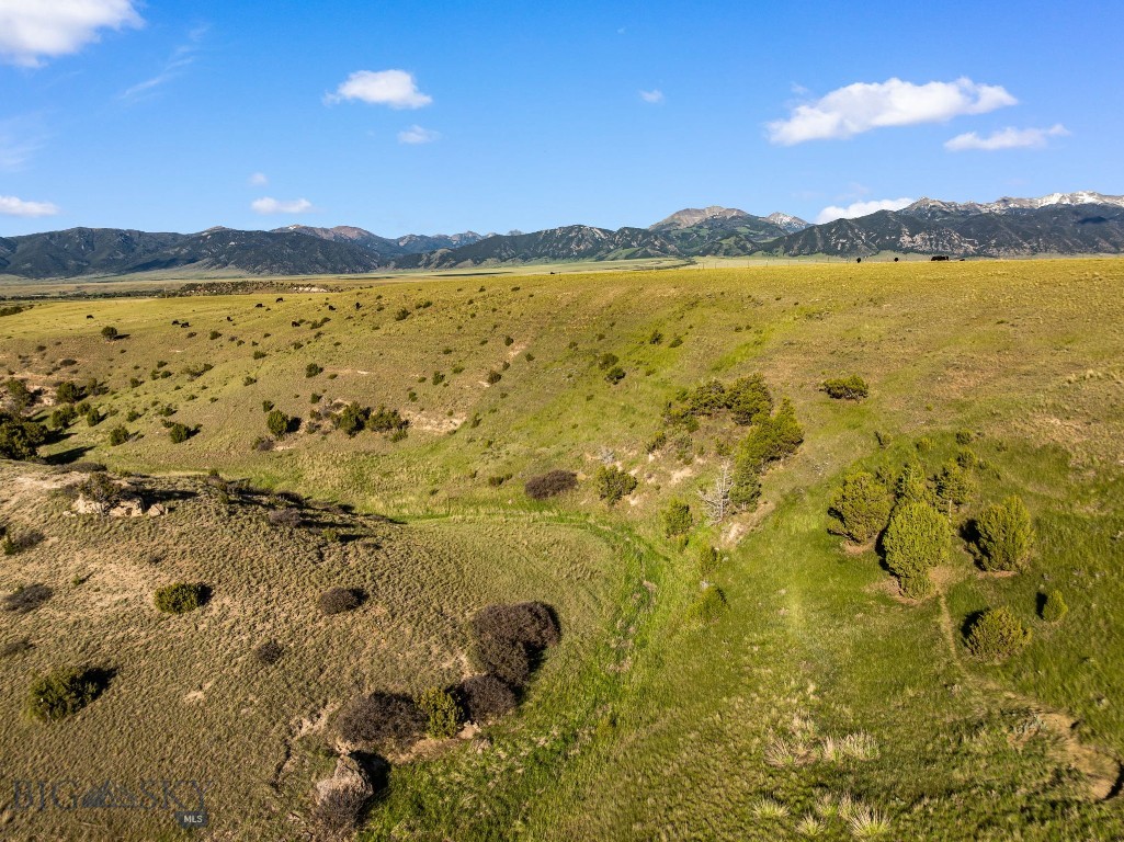 Pronghorn Meadows - Land