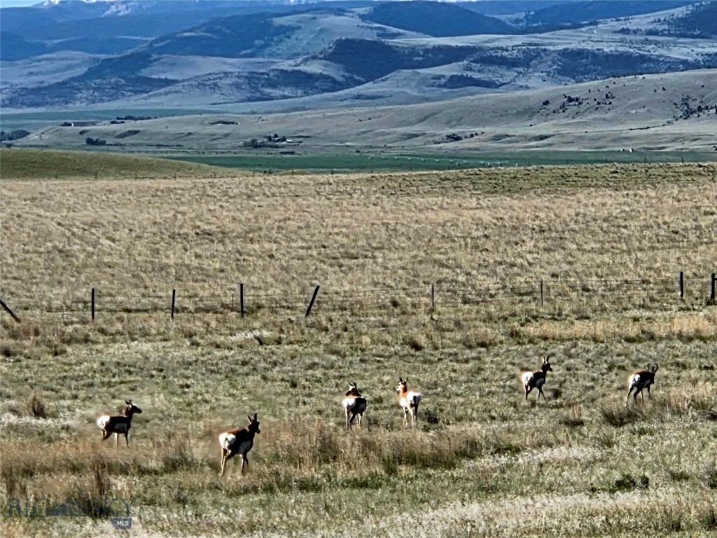 Pronghorn Meadows - Land