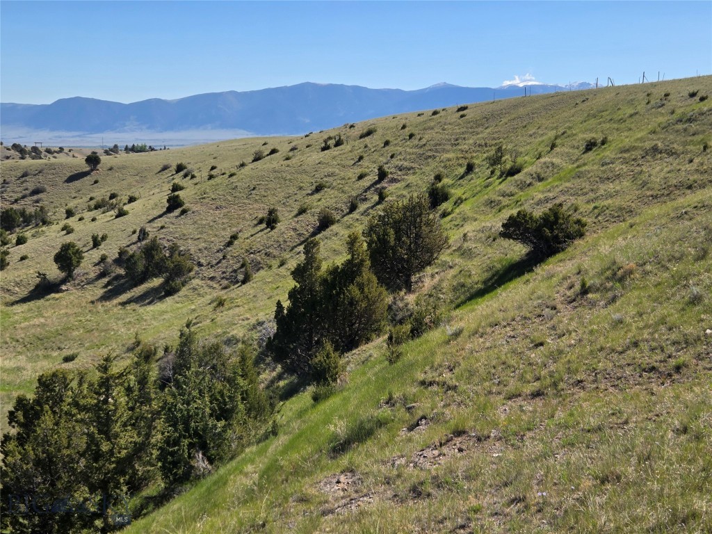 Pronghorn Meadows - Land
