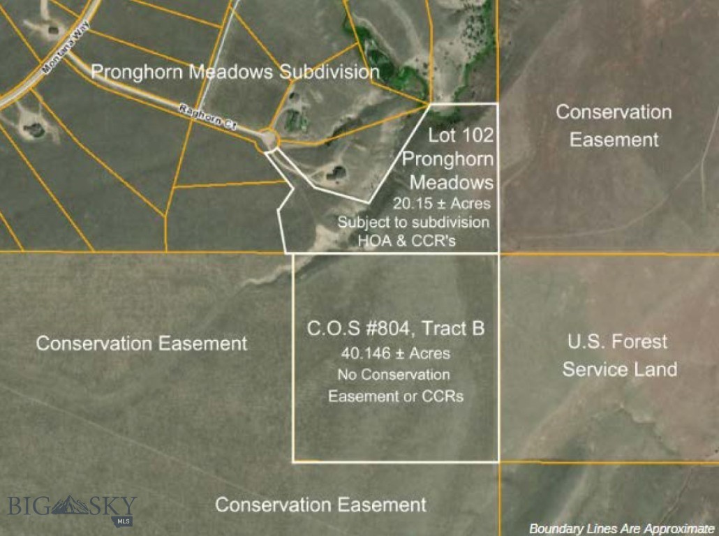 Pronghorn Meadows - Land