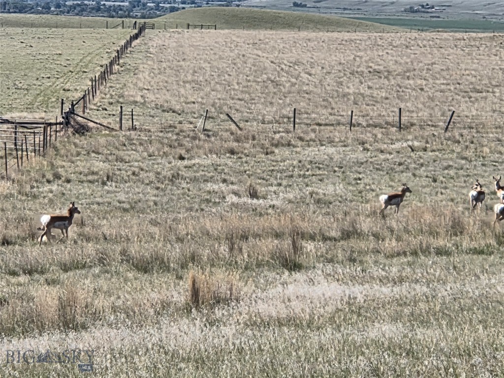 Pronghorn Meadows - Land