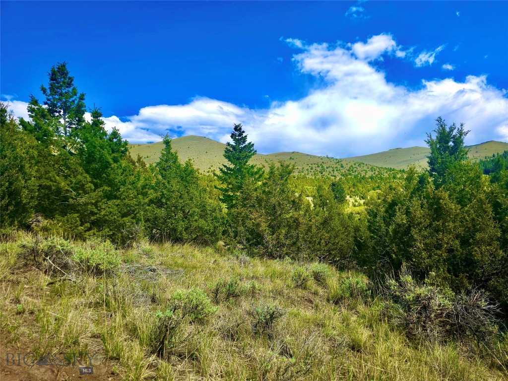 Virginia City Original Plat - Land