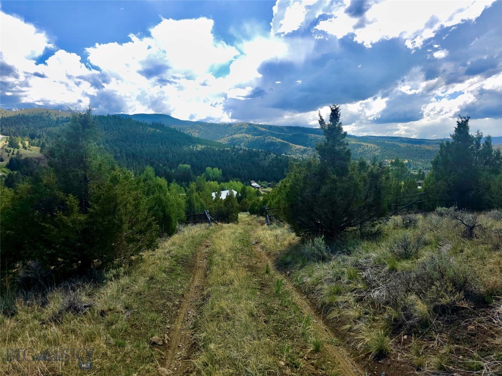 Virginia City Original Plat - Land