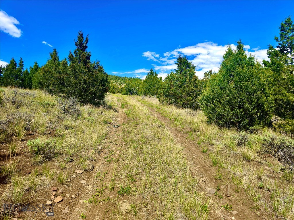 Virginia City Original Plat - Land