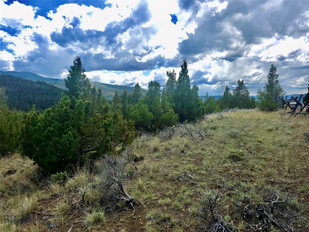 Virginia City Original Plat - Land