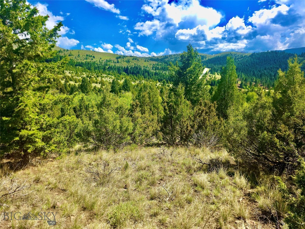 Virginia City Original Plat - Land