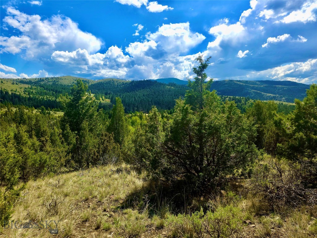 Virginia City Original Plat - Land