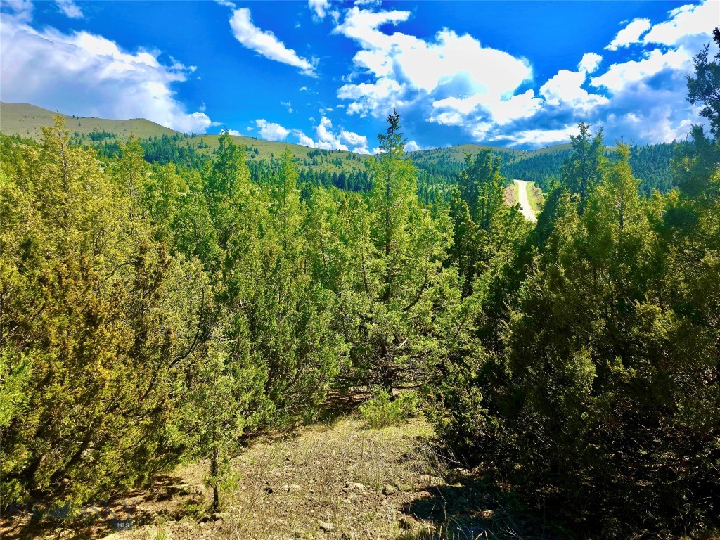 Virginia City Original Plat - Land
