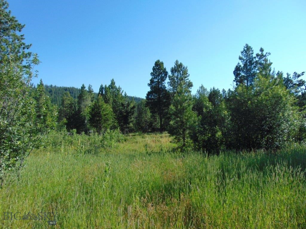 None - Land
