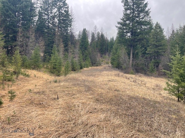 Stunning mountain property ready for your custom home or mountain hideaway.  This +/- 5 acres is located just outside of Kila, MT with good access, healthy timber, electricity, and majestic views.  Located in Truman Heights, this parcel has mild covenants and offers end of the road privacy.  The driveway has been built and some sitework for a building pad has been completed. If you're looking to get away, but not too far away, this is the one!