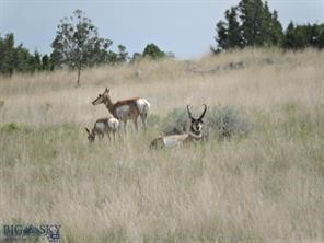 Gallatin River Ranch - Land