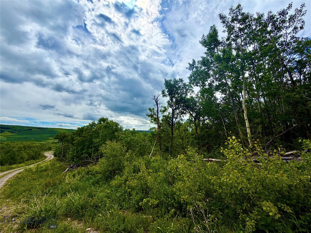 Other - Land