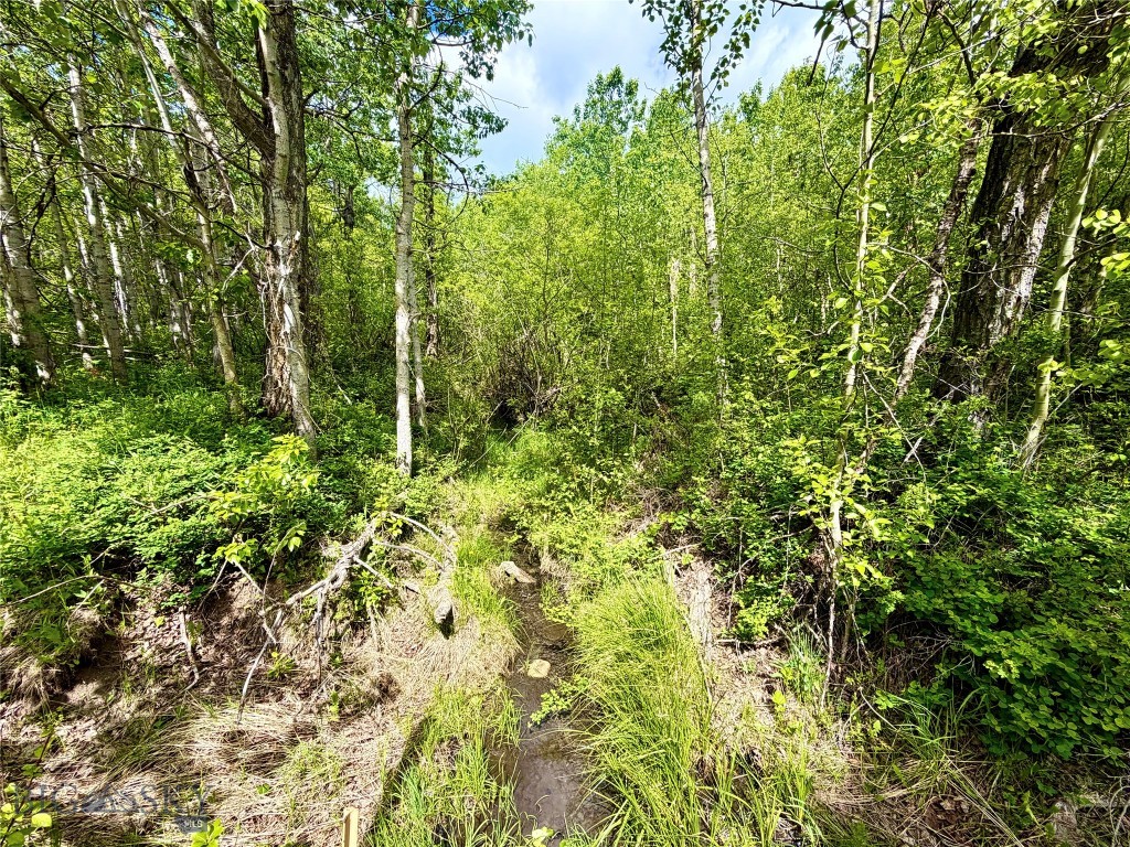 Other - Land
