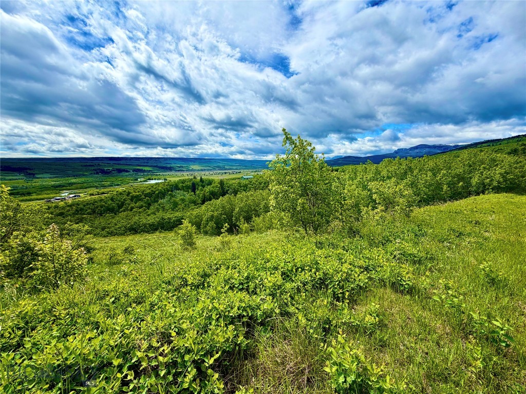 Other - Land