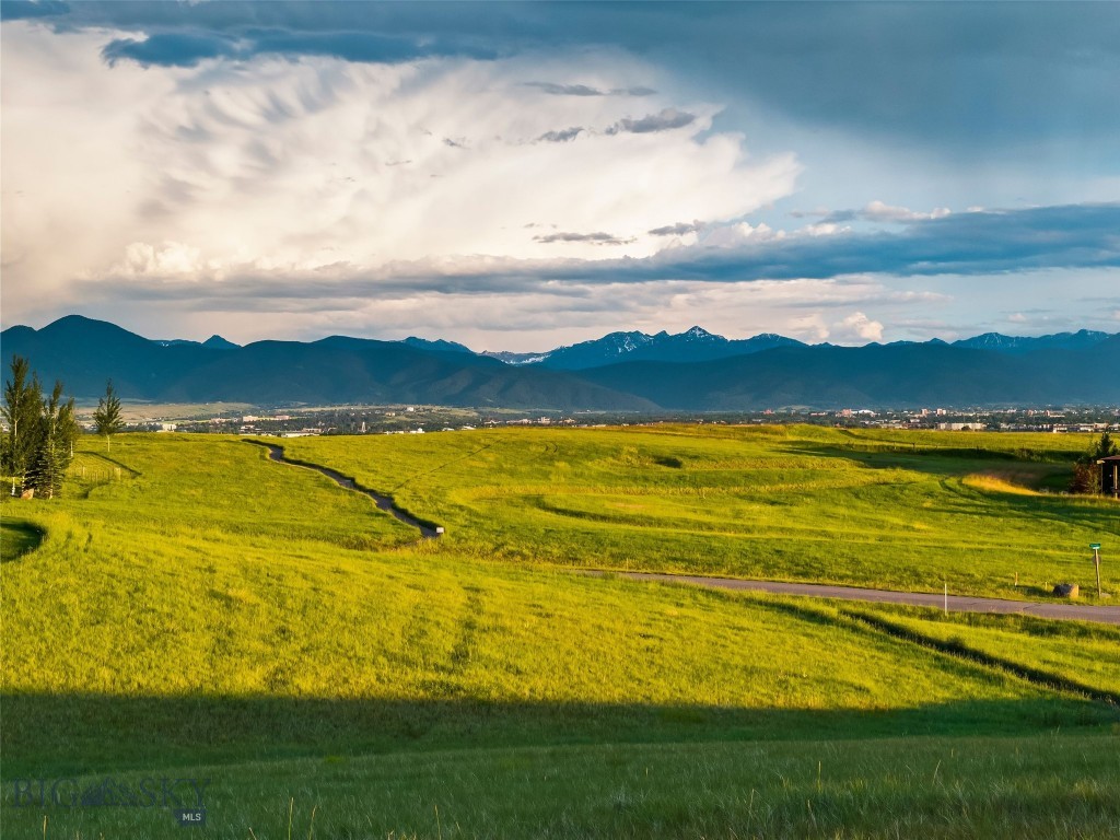 Springhill Reserve - Land